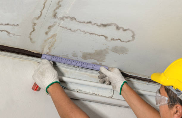 Reliable Basement Water Removal contractor in Chelsea, AL by Water Damage Irwin